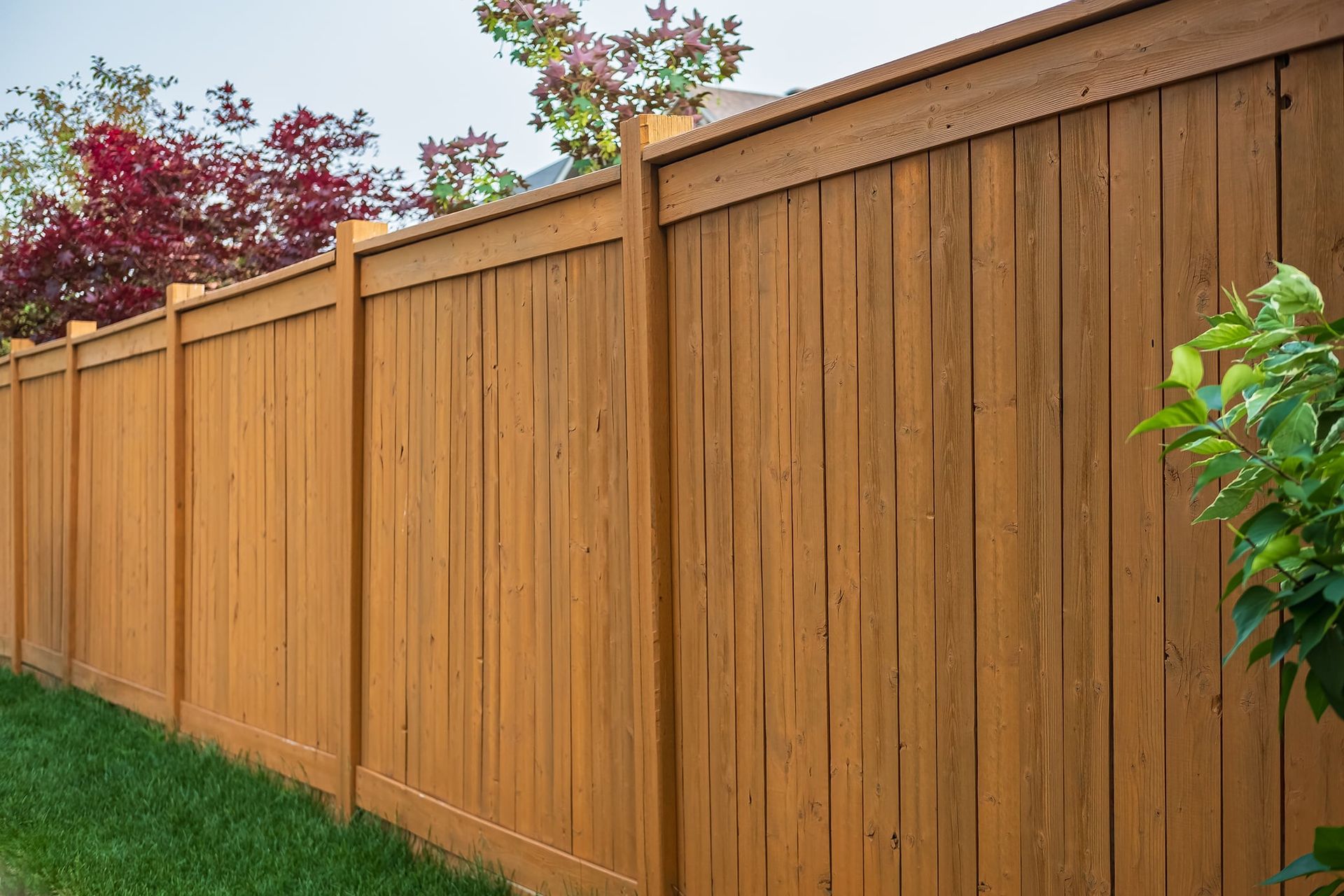 Wooden fence, brown stained, enclosing a green lawn; trees in background.
