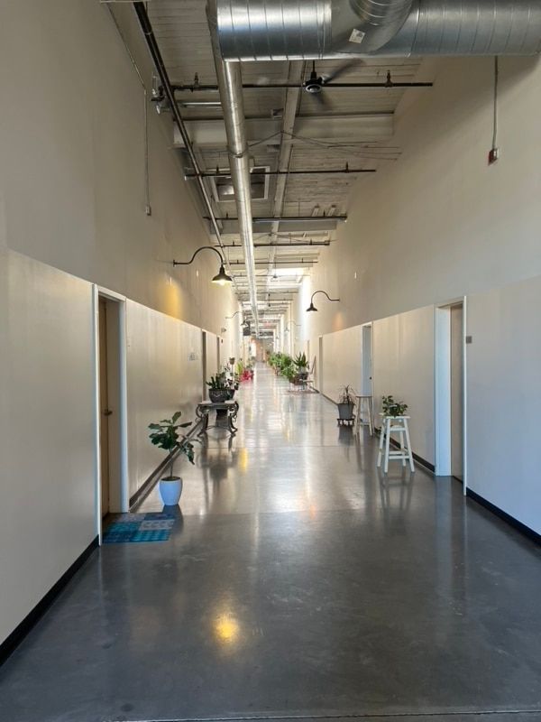 Long hallway with white walls, doors, plants, and exposed ceiling fixtures. Polished concrete floor.