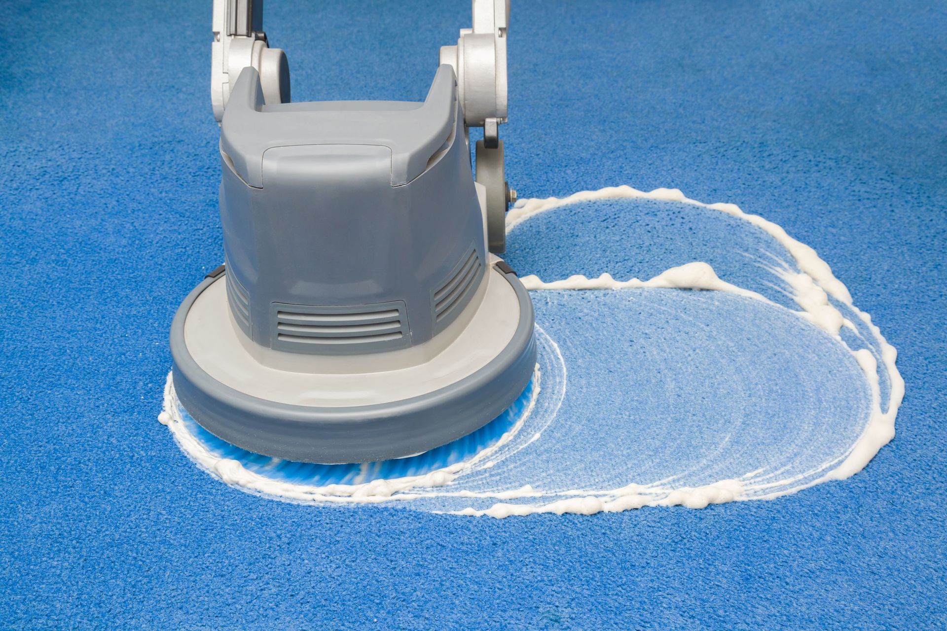 local carpet cleaning company