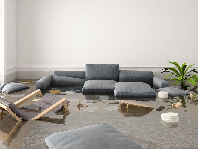 A living room flooded with water, with a grey sofa, floating cushions, and a potted plant partially submerged.