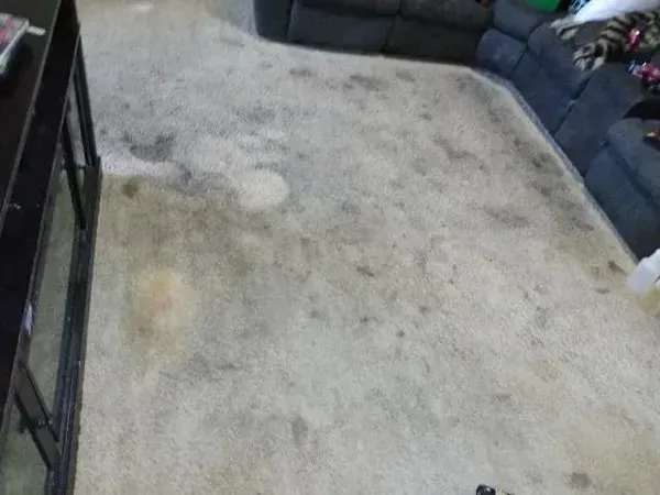 A soiled light-colored carpet in a living room with dark gray seating visible in the background.