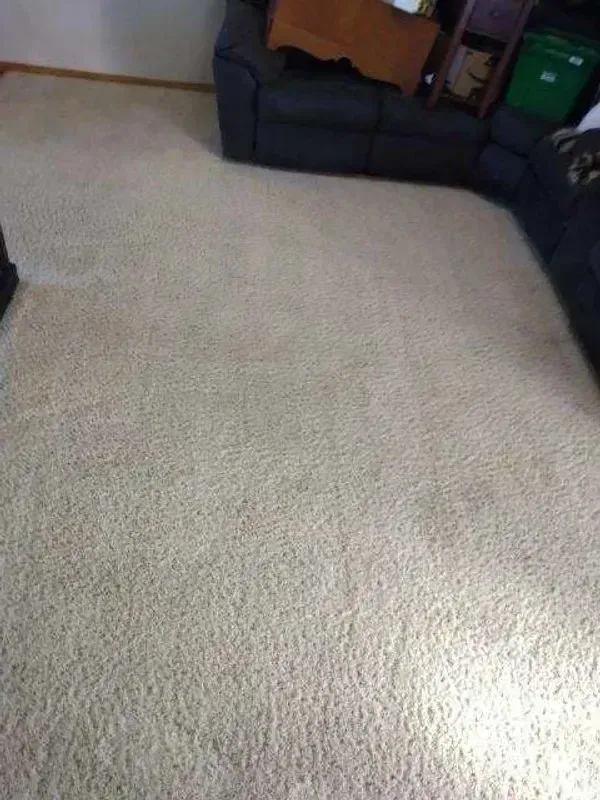 An indoor view of a light beige carpet in a living room, with a dark sofa partially visible in the background.