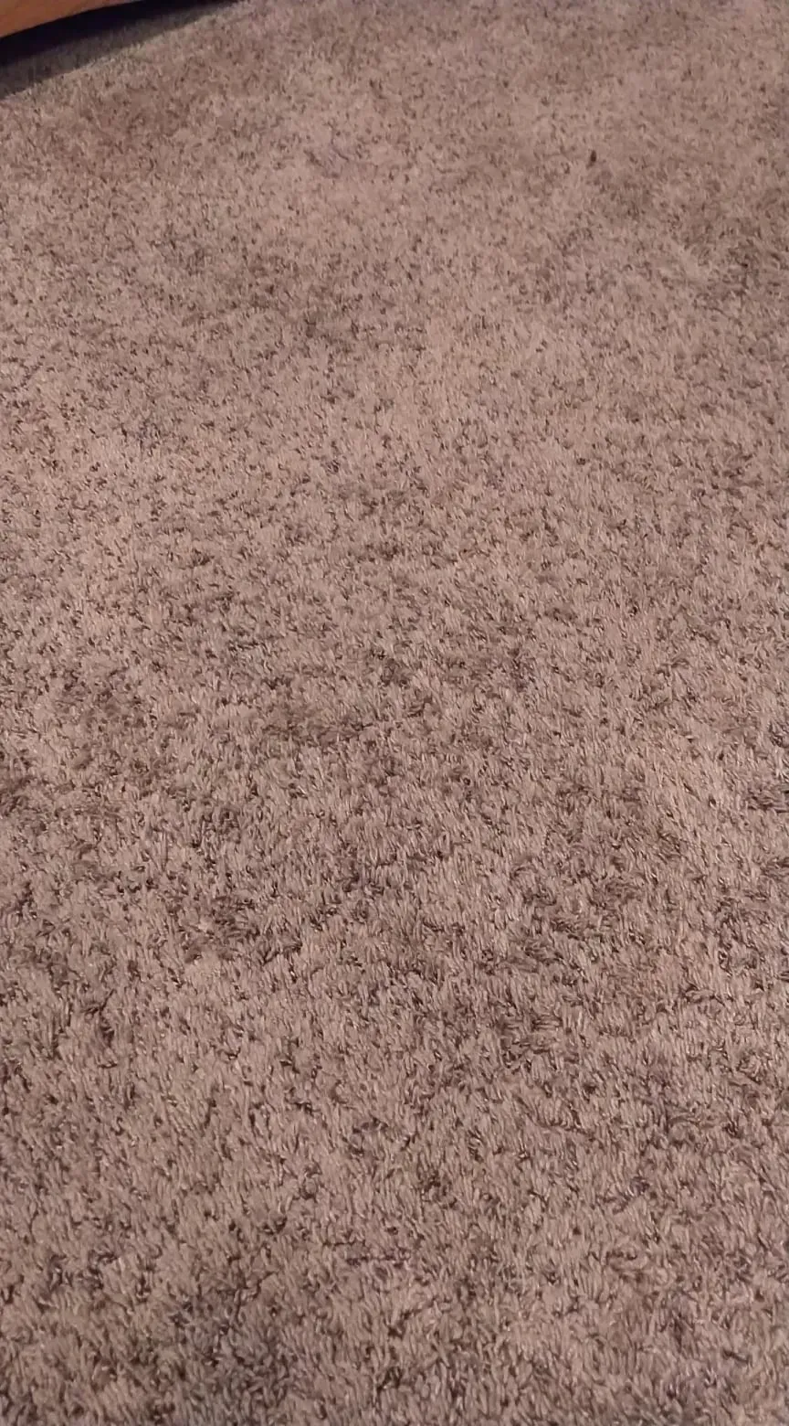 A close-up, top-down view of light brown, flecked carpet flooring.