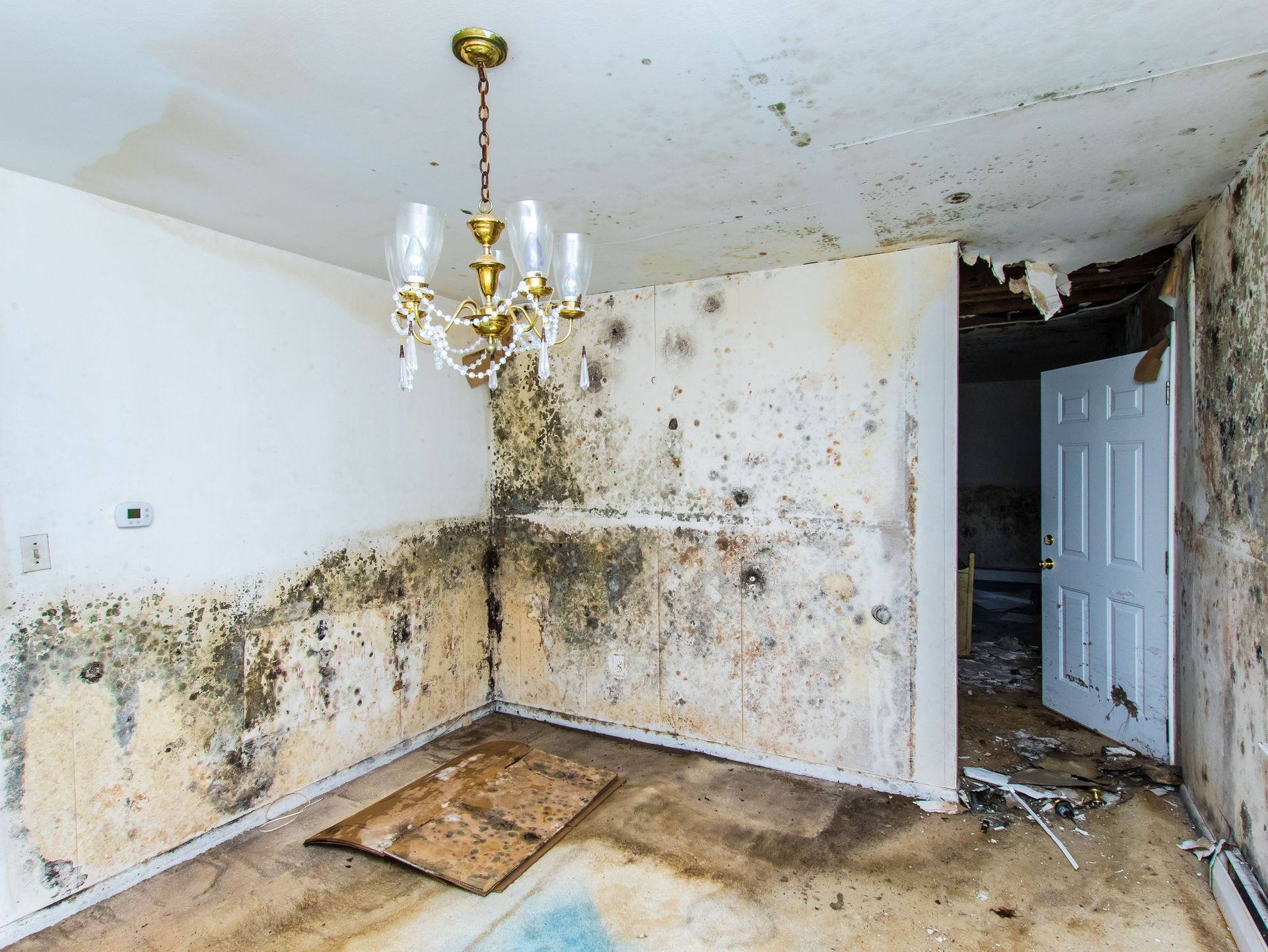 An interior room with walls heavily covered in black mold, water-damaged surfaces, and a chandelier hanging from the ceiling.