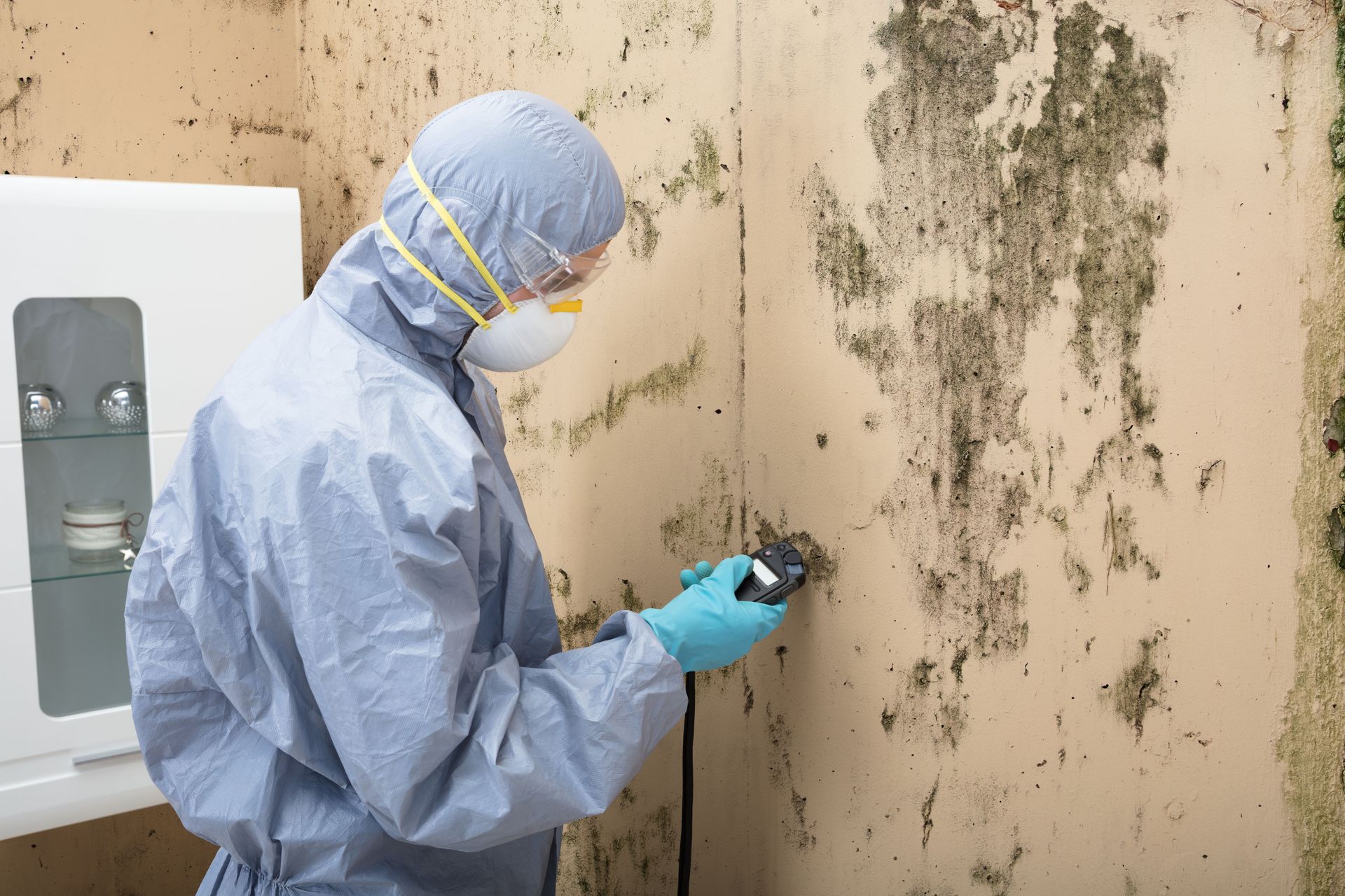 A person in a protective suit and respirator uses a moisture meter on a wall with significant mold growth.