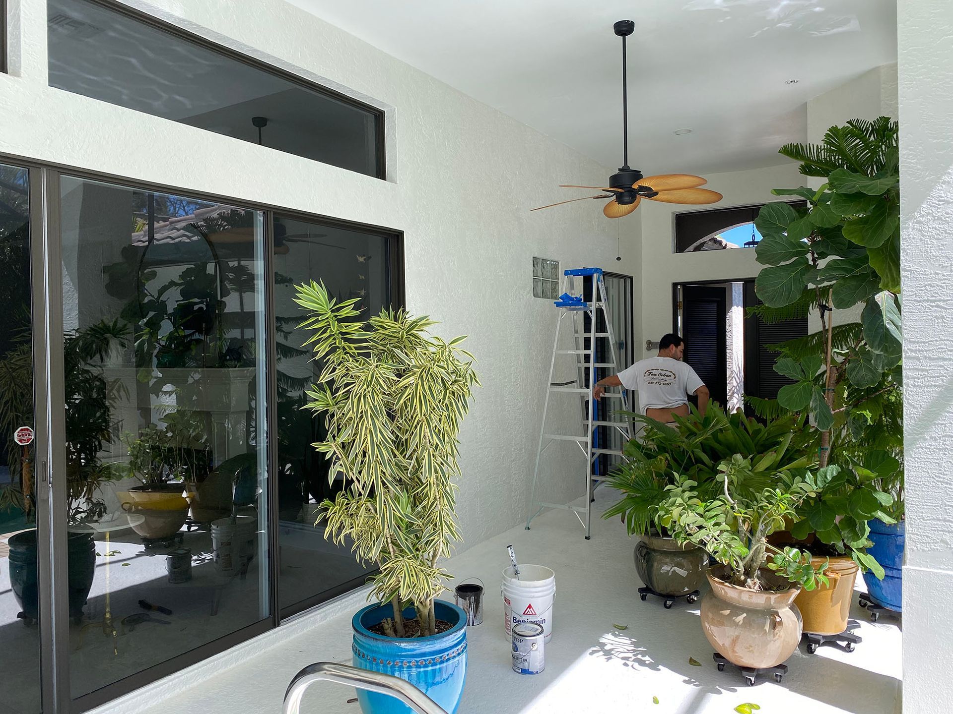 A man is standing on a ladder in a room with potted plants and a ceiling fan.