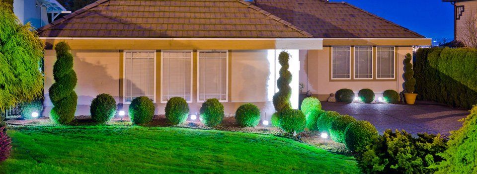 Lawn lights between bushes