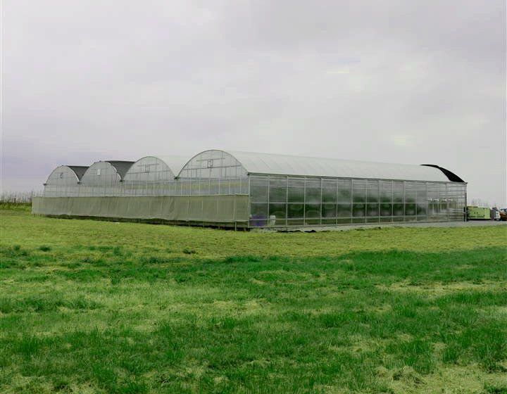 Greenhouse