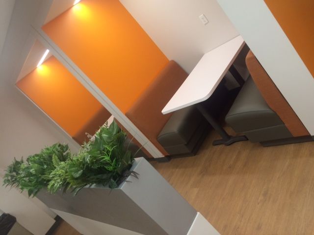 Cozy booth seating with orange walls, a white table, and green plants in a modern office space.