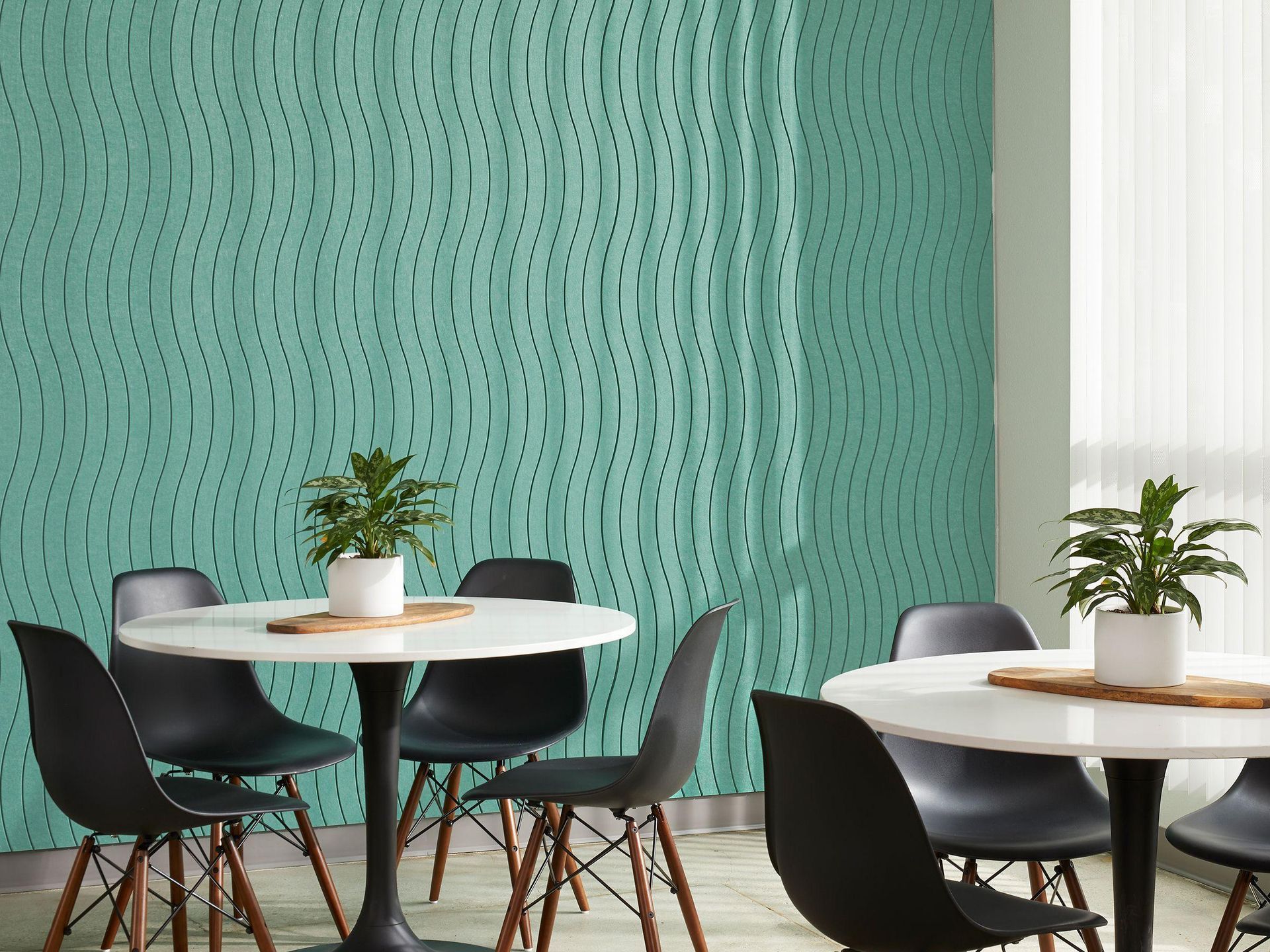 Two white tables with black chairs in front of a teal textured wall with plants in pots.