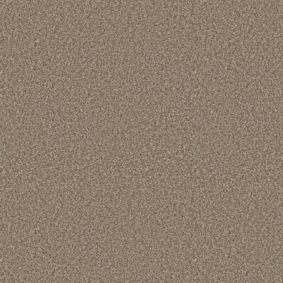 Close-up view of a surface with a speckled, light brown appearance.