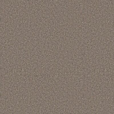 Close-up of a textured surface in shades of brown and gray.