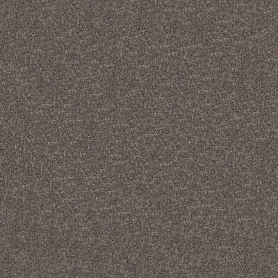 Close-up of a brown, textured carpet with a speckled appearance.