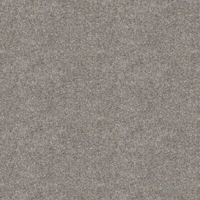 Textured, gray carpet.