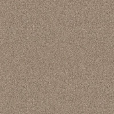 Close-up of beige, textured surface.