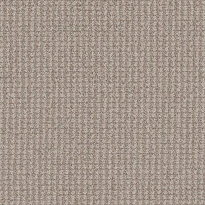Beige carpet with textured, woven pattern.