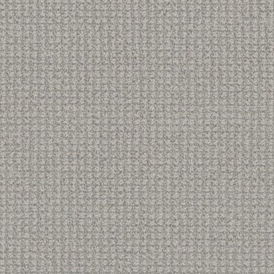 Gray carpet with a small, textured pattern.