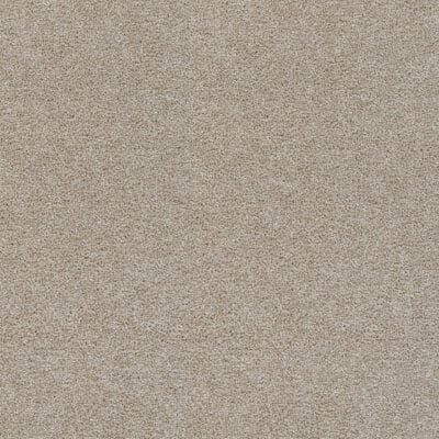 Beige carpet texture.