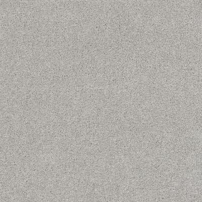 Textured, speckled gray surface.