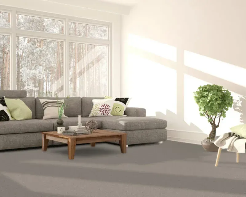 Living room with a gray sectional sofa, wooden coffee table, and a small potted tree. Large window and light gray carpet.