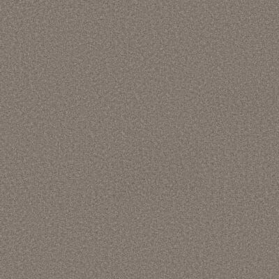 Solid, mottled, brown surface texture.