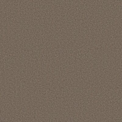Brown speckled textured background.