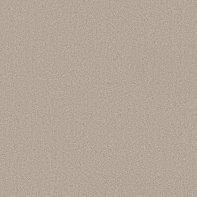 Tan textured background.