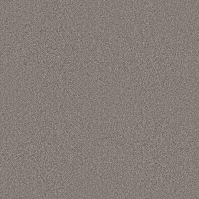 Close-up of a textured, grey surface with a grainy appearance.