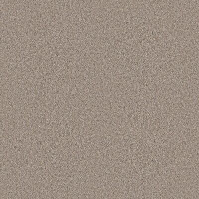 Tan, grainy surface texture.