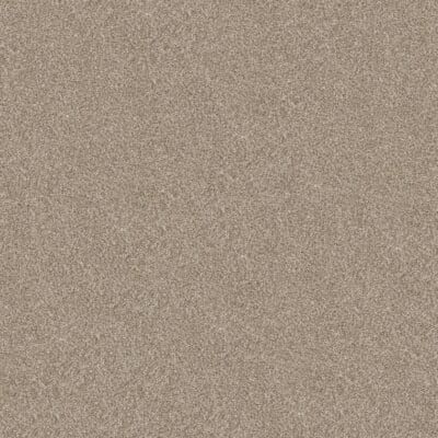 Tan, speckled carpet texture.