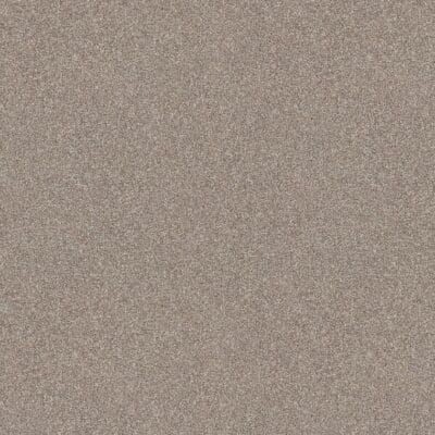Textured, neutral beige carpet.