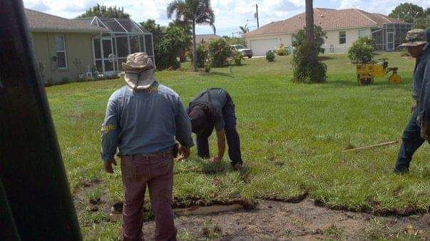Men laying sod in a residential yard on a sunny day.