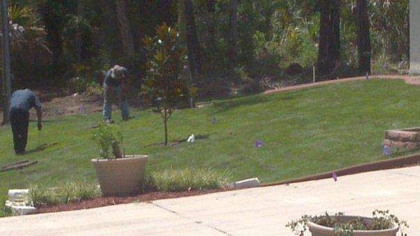 Three people tending a green lawn with trees in the background. Potted plants in the foreground.