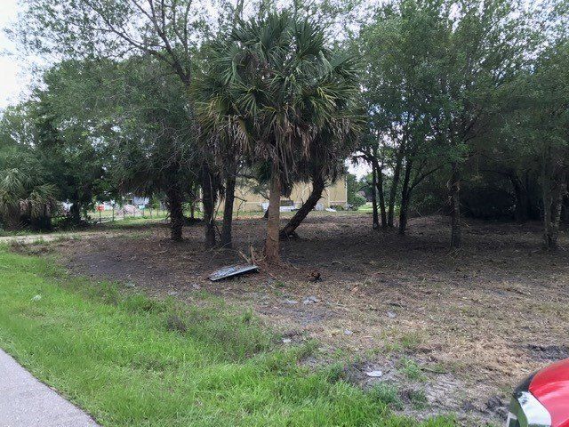 Grassy lot with trees and a palm tree, next to a road with a red car.