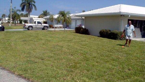 A man throws a ball in a grassy yard, near a light-colored house and parked pickup truck.