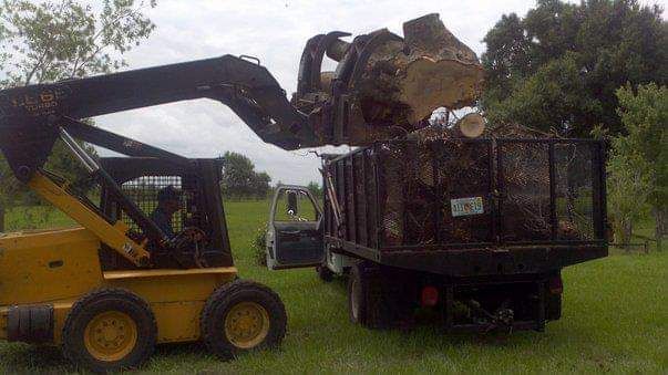 Yellow skid steer loader dumping debris into a truck bed in a grassy field.