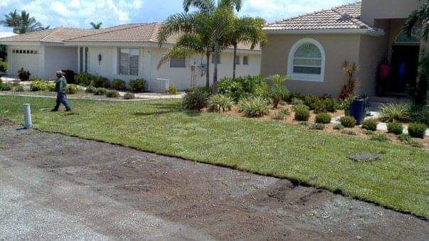 Man walking on a green lawn in front of a beige house with a palm tree, sunny day.