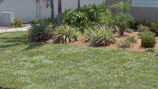 Lush green lawn with a landscaped garden bed featuring various plants, shrubs, and mulch.