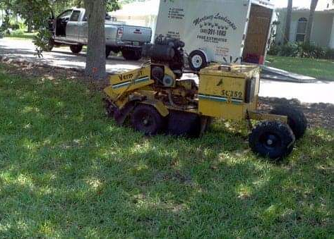 martinez-tree-and-sod-service