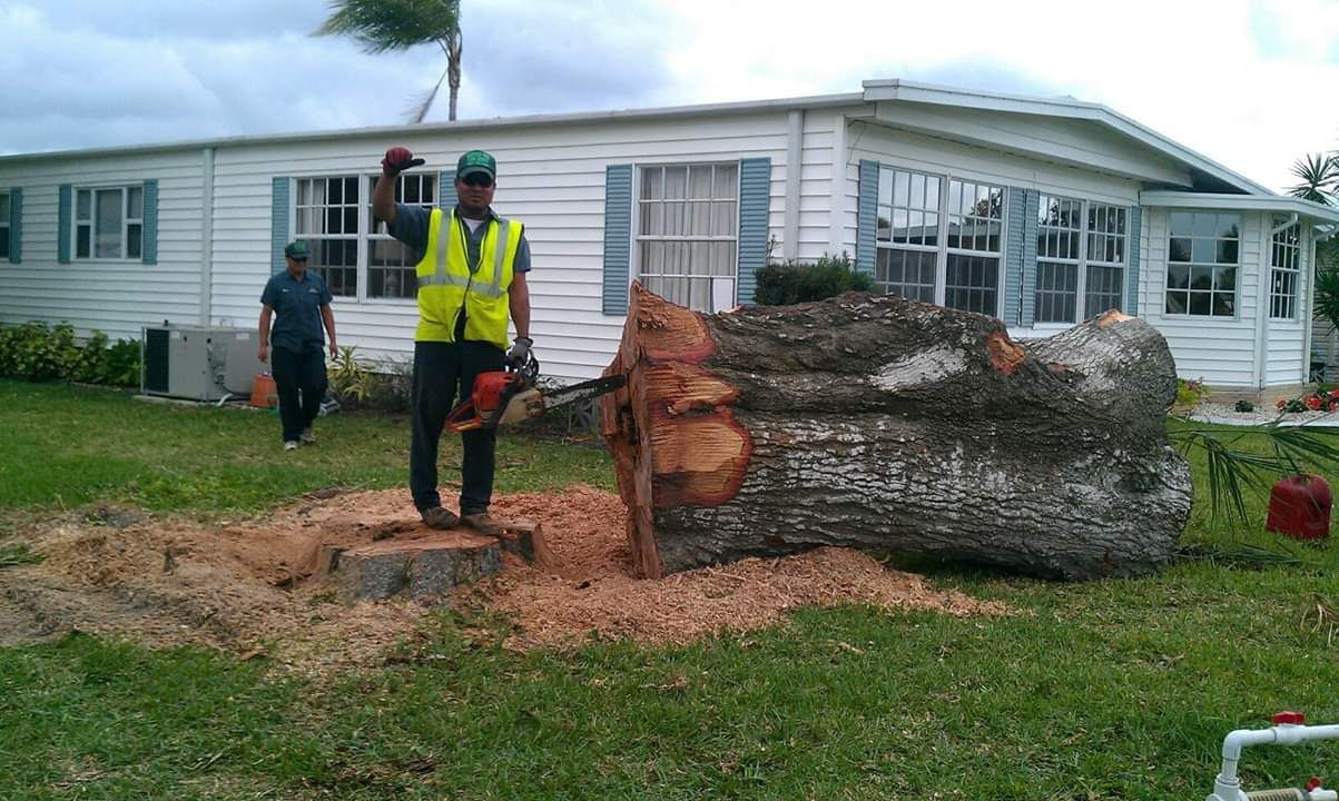 martinez-tree-and-sod-service