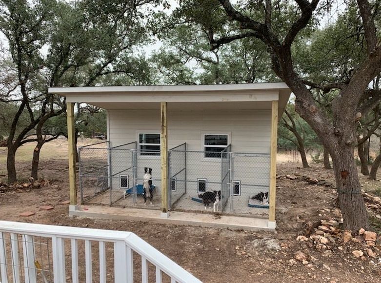 Small white utility shed with fenced outdoor dog kennels under trees on dry ground.