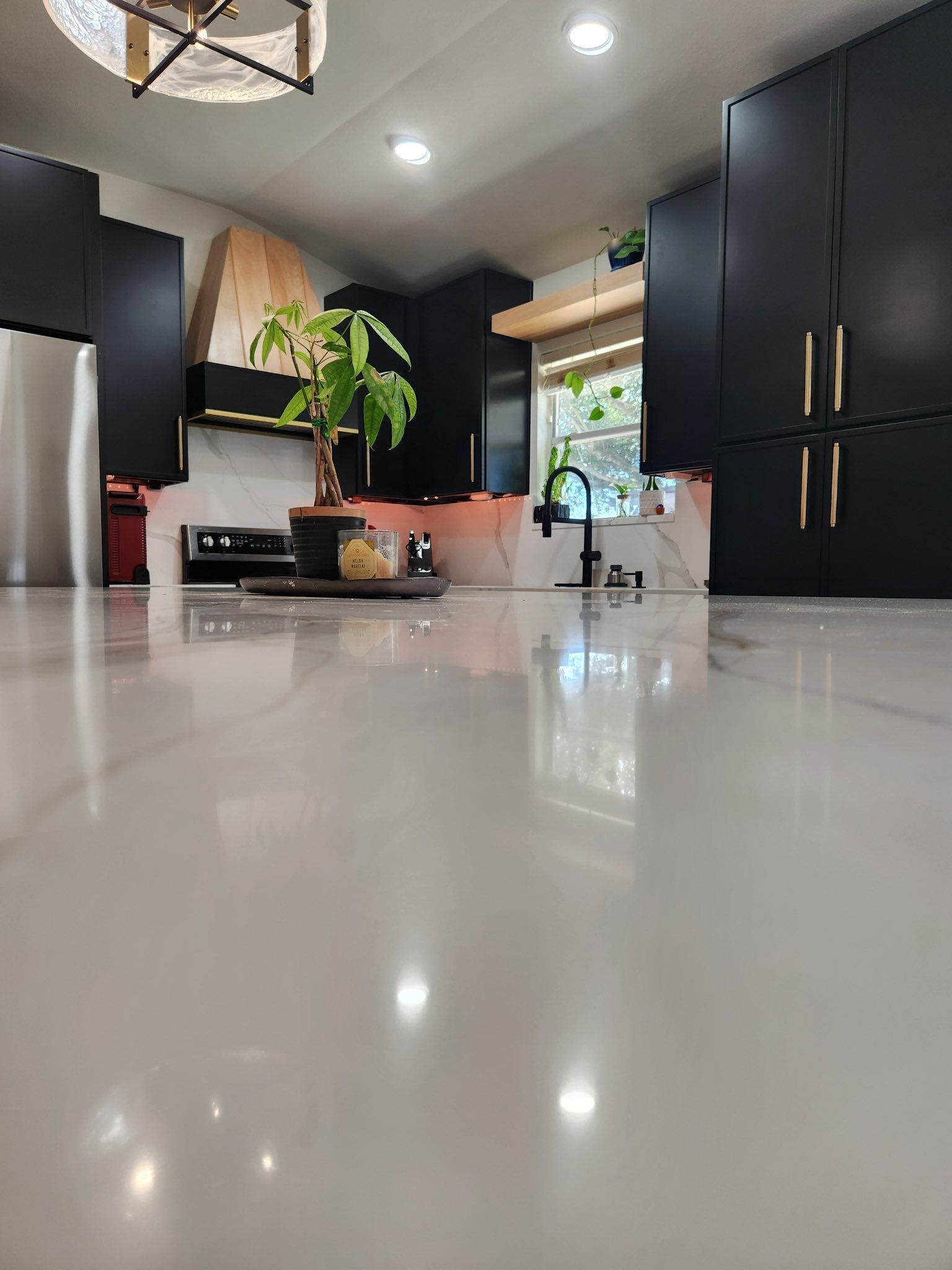 Modern kitchen with glossy floor, black cabinets, stainless fridge, and potted plants by a bright window