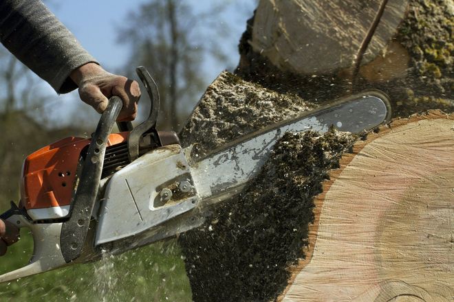 Chainsaw cutting through a tree trunk, wood chips flying in an outdoor yard.
