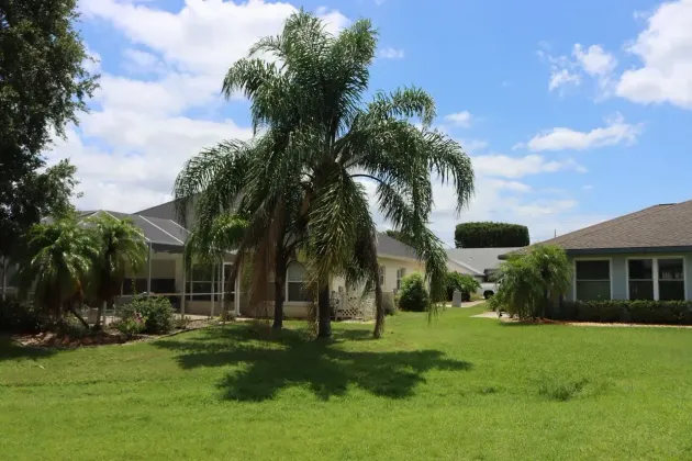 Suburban homes with a large palm tree and green lawn under a bright blue sky