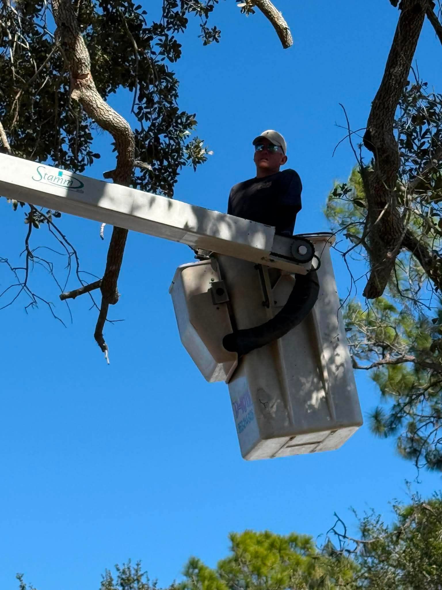 Worker in a bucket lift trimming tree branches against a blue sky.
