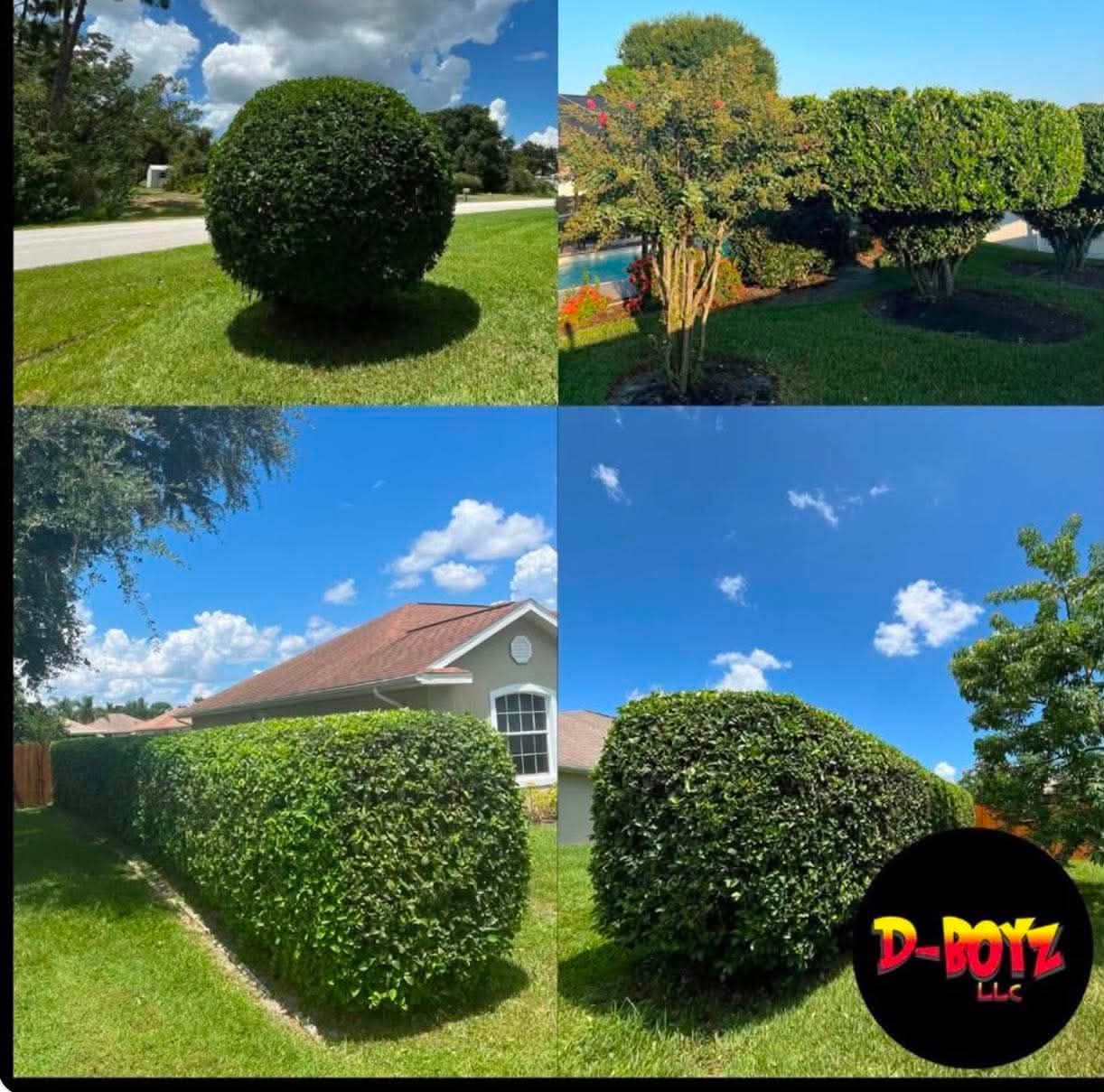 Four views of neatly trimmed green shrubs in a sunny suburban yard