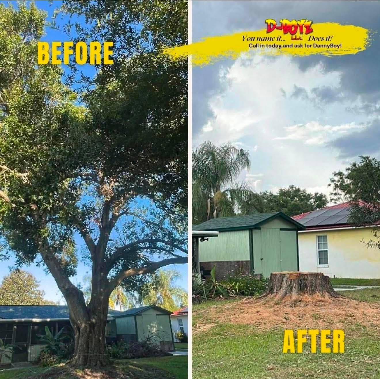 Before-and-after yard view: large tree beside a house before, then tree removed, stump visible after.