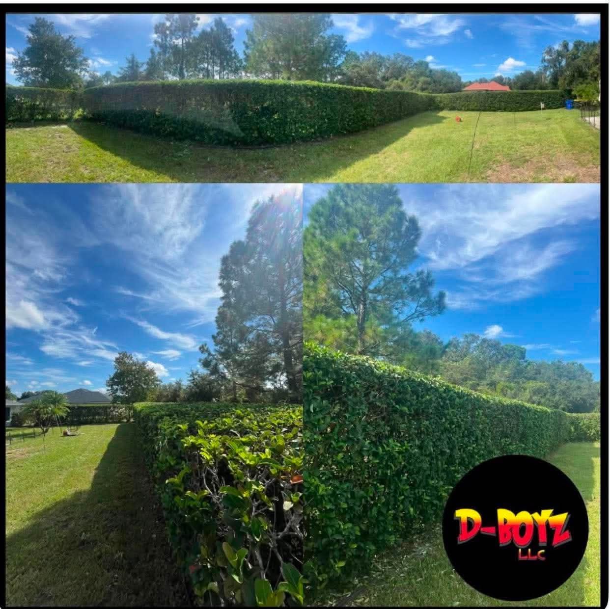 Manicured green hedge forming a corner in a sunny garden under a bright blue sky