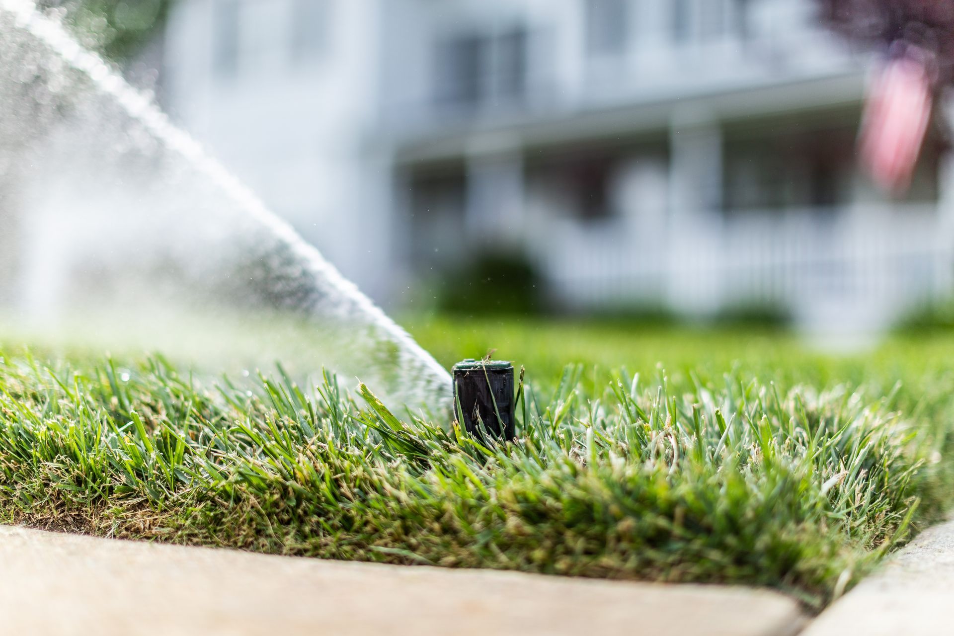 Sprinkler watering a green lawn in front of a blurred house