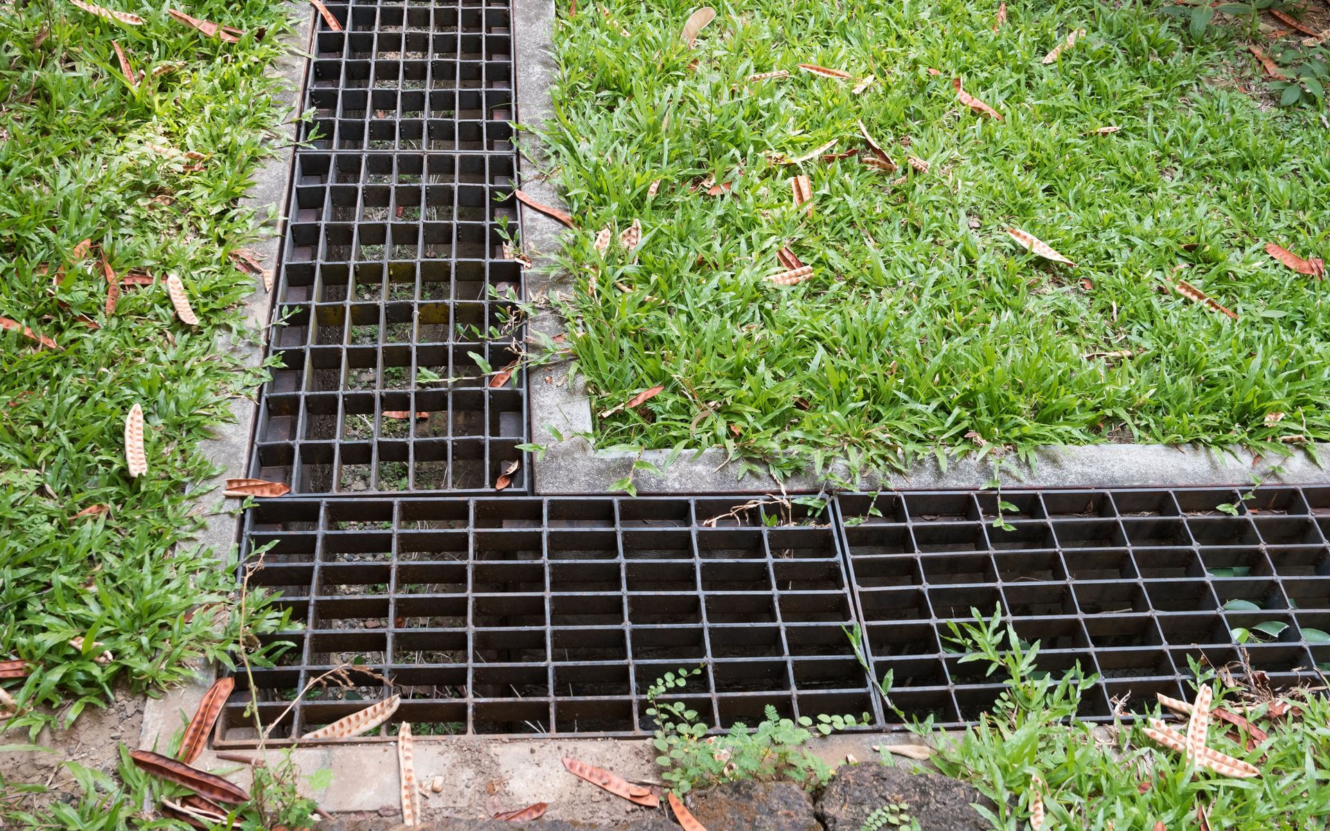 a drain with a metal grate is surrounded by grass